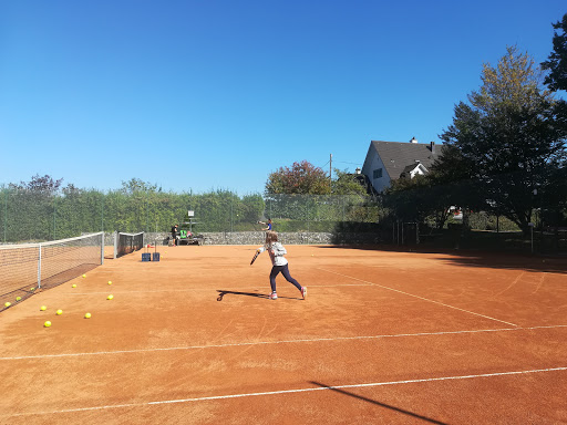 Tennisvereine Zürich