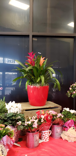 Grocery Store «Kroger», reviews and photos, 3939 Frankford Rd, Dallas, TX 75287, USA