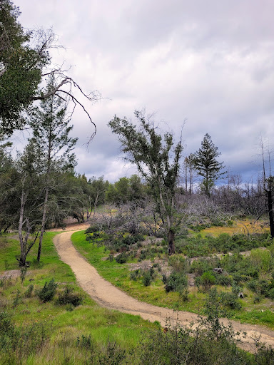 National Forest «Petrified Forest», reviews and photos