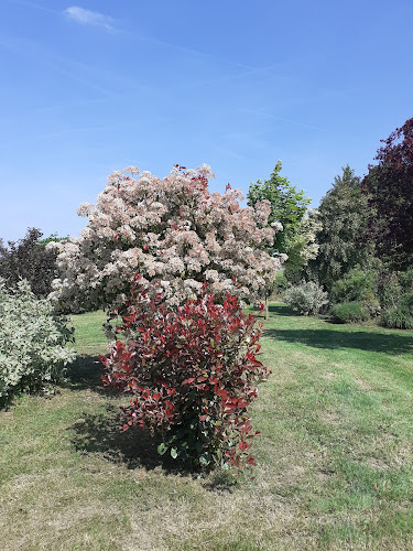 Centre Social Rural Froissy - Crèvecoeur à Froissy