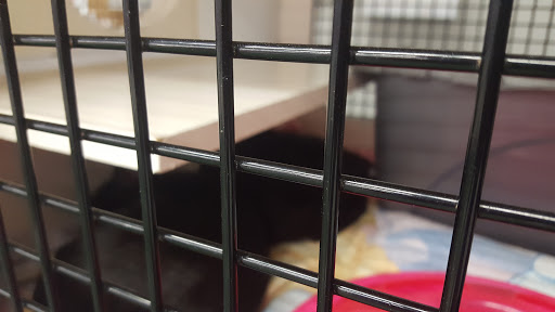 Pet Supply Store «Petco Animal Supplies», reviews and photos, 2230 Marlton Pike W #3, Cherry Hill, NJ 08002, USA