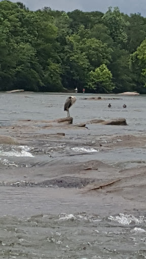 Golf Club «Rivermont Golf and Country Club», reviews and photos, 3130 Rivermont Pkwy, Johns Creek, GA 30022, USA