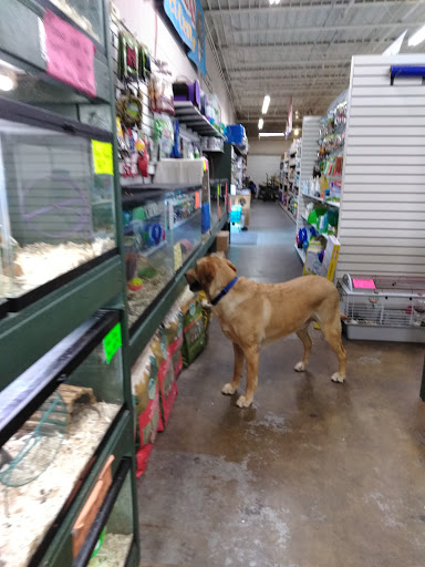 Pet Supply Store «Buckles Feed Depot & Pet Supply», reviews and photos, 220 S 4th St, Lafayette, IN 47901, USA