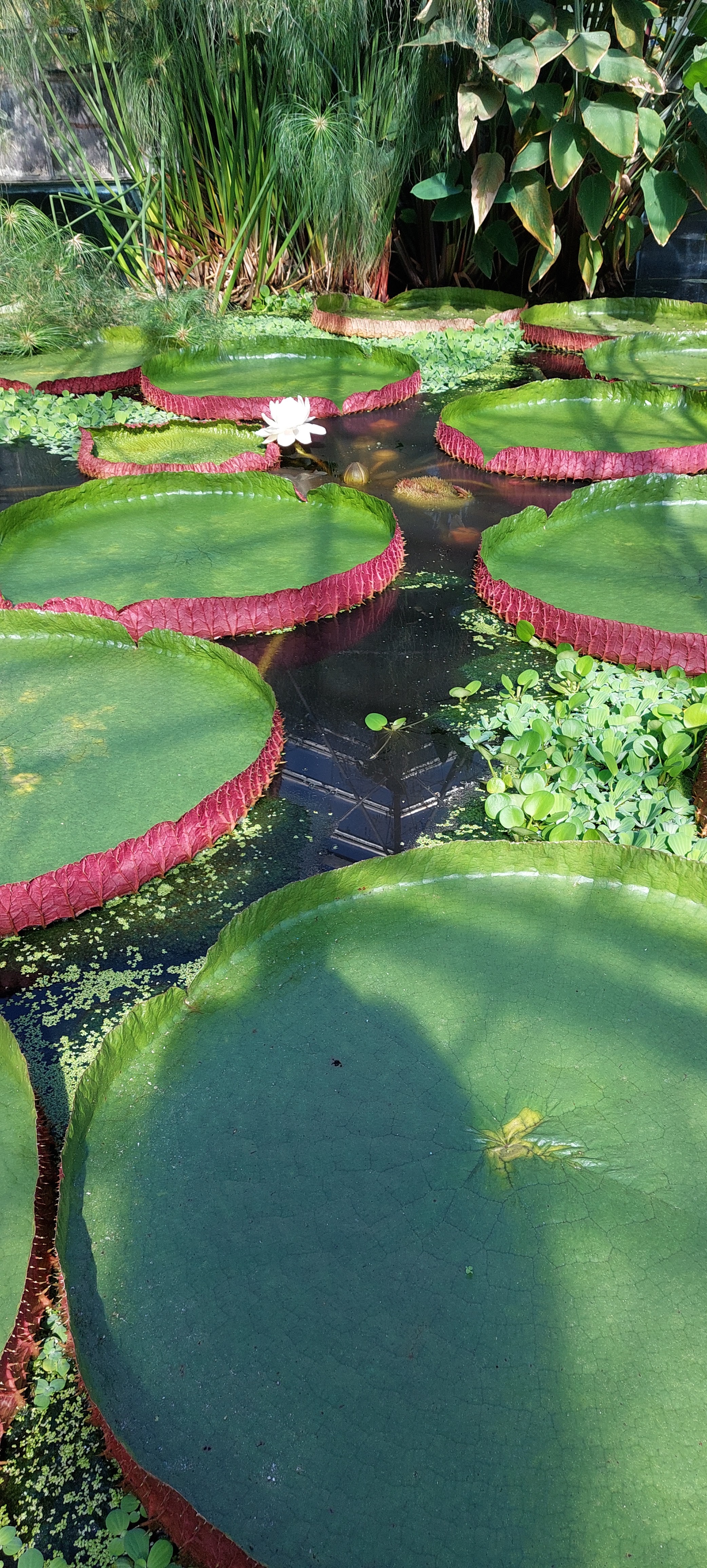 Photo n° 3 de l'avis de Virginie.a fait le 24/09/2021 à 06:44
