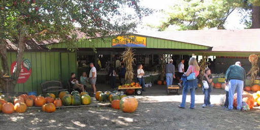 Orchard «Sky Top Orchard», reviews and photos, 1193 Pinnacle Mountain Rd, Flat Rock, NC 28731, USA