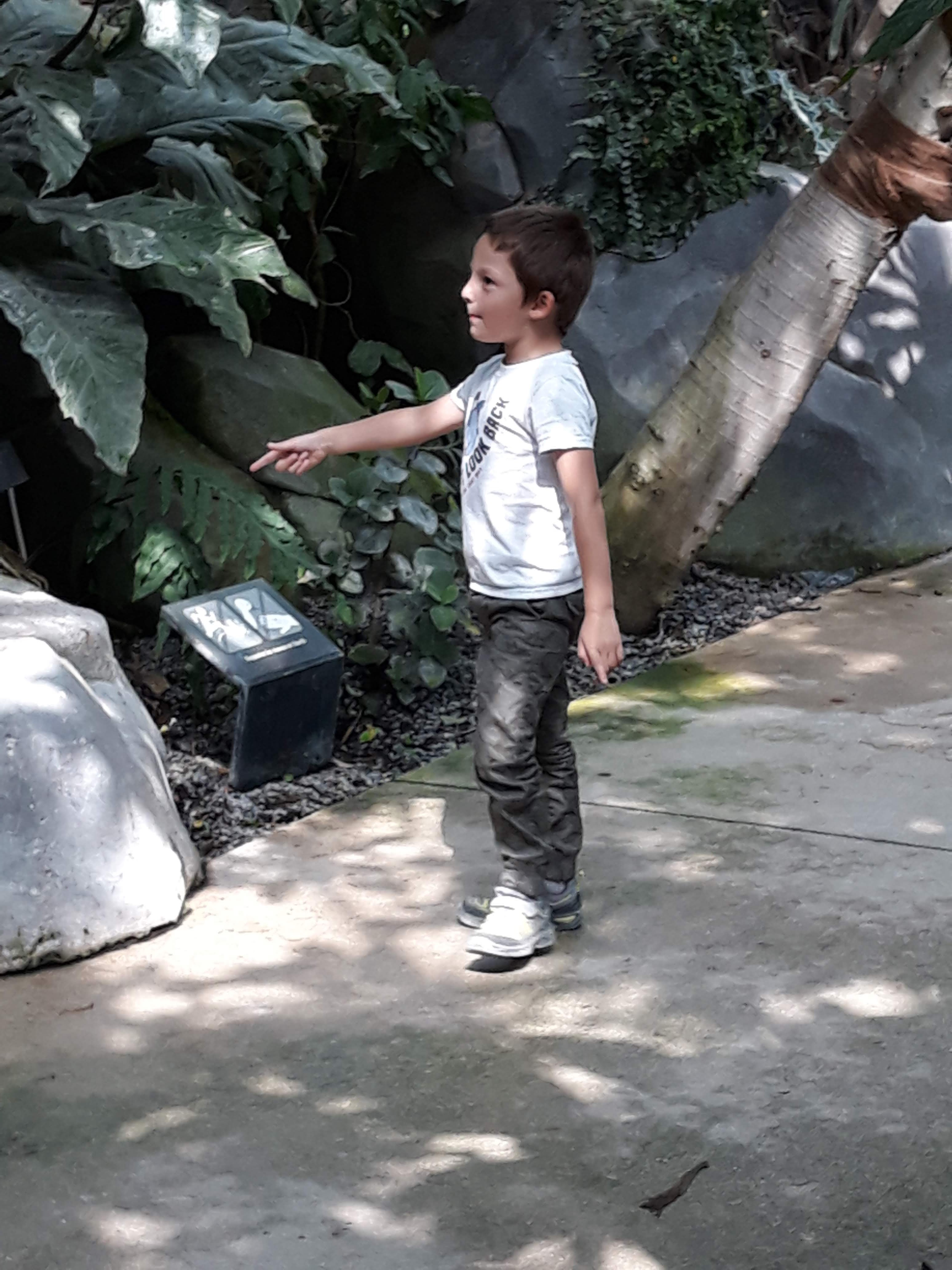 Photo n° 16 de l'avis de Ludo.a fait le 30/08/2021 à 17:15