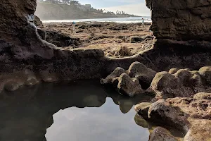 San Diego - La Jolla Underwater Park image