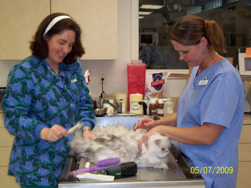 VCA Swengel Animal Hospital image