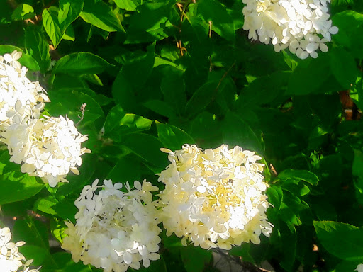 Movie Theater «MJR Troy Grand Digital Cinema 16», reviews and photos, 100 E Maple Rd, Troy, MI 48083, USA