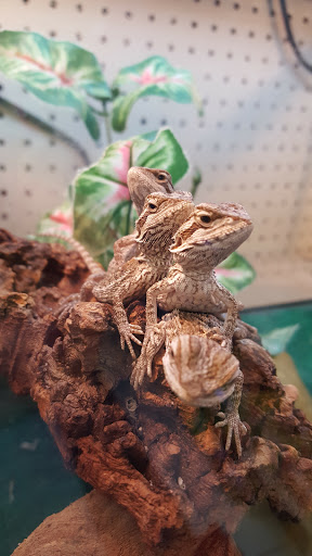 Pet Store «Critter Hut Aquarium & Pets», reviews and photos, 6637 Post Rd, North Kingstown, RI 02852, USA