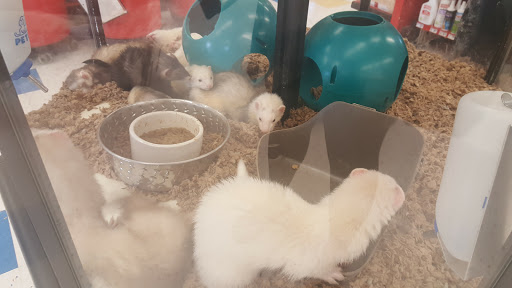 Pet Supply Store «Petco Animal Supplies», reviews and photos, 1090 Fort Union Blvd, Midvale, UT 84047, USA