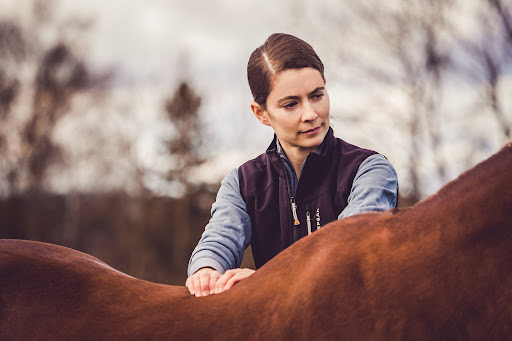 Deborah Faber Tierarztpraxis für Osteopathie und Akupunktur unter Weingarten, Baden Württemberg