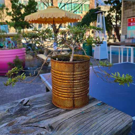  «The Spoke Easy», reviews and photos, 1523 Elizabeth Ave #120, Charlotte, NC 28204, USA