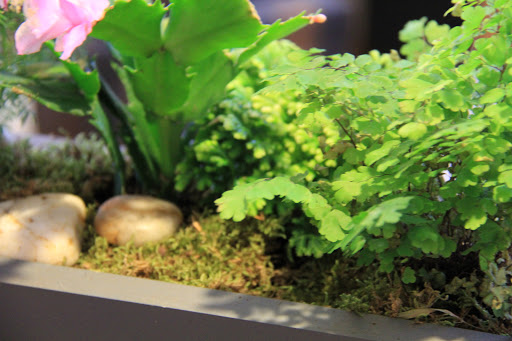 Florist «Floral Arts», reviews and photos, 129 Littleton Rd, Westford, MA 01886, USA