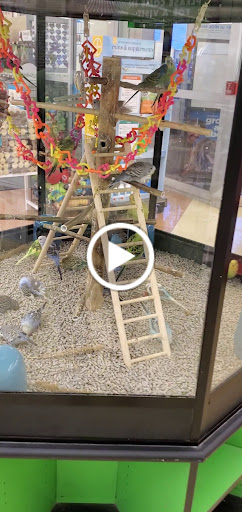 Pet Supply Store «Petco Animal Supplies», reviews and photos, 10 Sylvan St, Peabody, MA 01960, USA