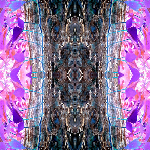 Nature Preserve «Crosby Farm Regional Park», reviews and photos, 2595 Crosby Farm Rd, St Paul, MN 55116, USA