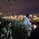 Photo n° 3 de l'avis de Cyd.d fait le 24/05/2022 à 07:54 pour Laho Rooftop à Paris