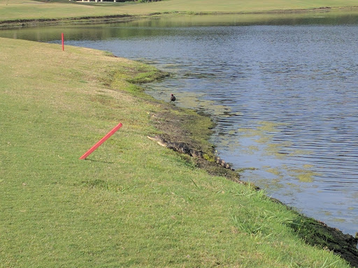 Golf Club «St. Johns Golf Club», reviews and photos, 4900 Cypress Links Blvd, Elkton, FL 32033, USA