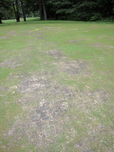 Golf Club «Stonybrook Golf Club», reviews and photos, 207 Stony Brook Rd, Hopewell, NJ 08525, USA