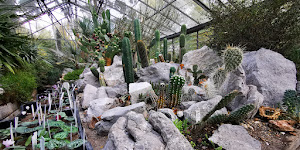 Botanische Tuin Zuidas