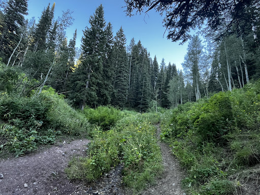 Lower Big Water Trailhead