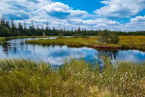 Hohlohsee image