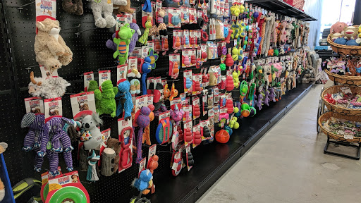 Pet Store «Chasing Our Tails, Inc. Hudson Store», reviews and photos, 76 Derry Rd #6a, Hudson, NH 03051, USA