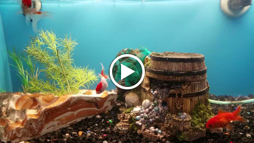 Pet Supply Store «PetSmart», reviews and photos, 2020 SW Westport Dr, Topeka, KS 66604, USA