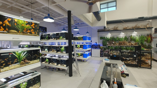 Tropical Fish Store «Fish Gallery», reviews and photos, 6955 Greenville Ave, Dallas, TX 75231, USA