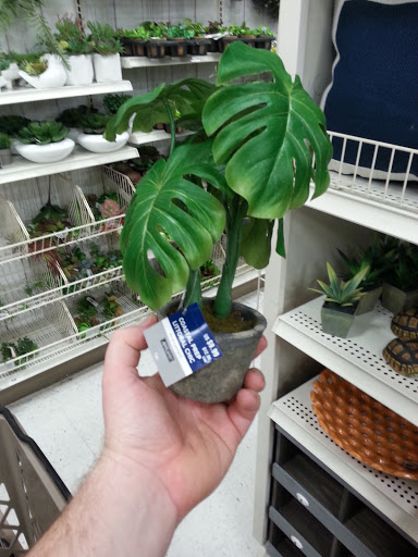 Craft Store «Michaels», reviews and photos, 2626 E Stone Dr Ste 110, Kingsport, TN 37660, USA