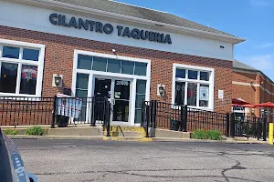 Cilantro Taqueria image