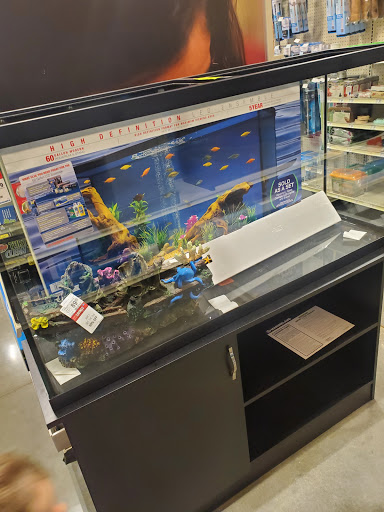 Pet Supply Store «PetSmart», reviews and photos, 601 Centerview Blvd, Kissimmee, FL 34741, USA