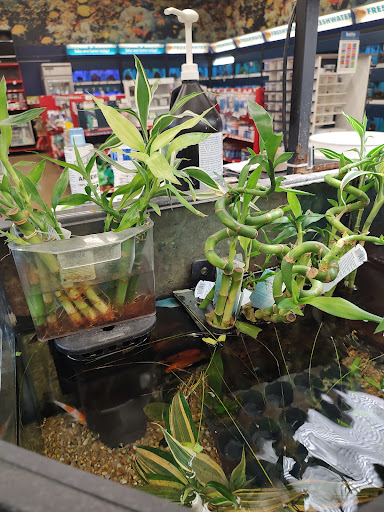 Pet Supply Store «Petco Animal Supplies», reviews and photos, 8800 Tampa Ave, Northridge, CA 91324, USA