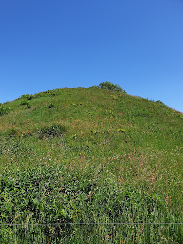 Comentarii opinii despre Hohoj