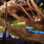 Photo n°25 de l'avis de Tito.h fait le 29/05/2018 à 06:31 sur le  Al Glicine trattoria con vista à Erba