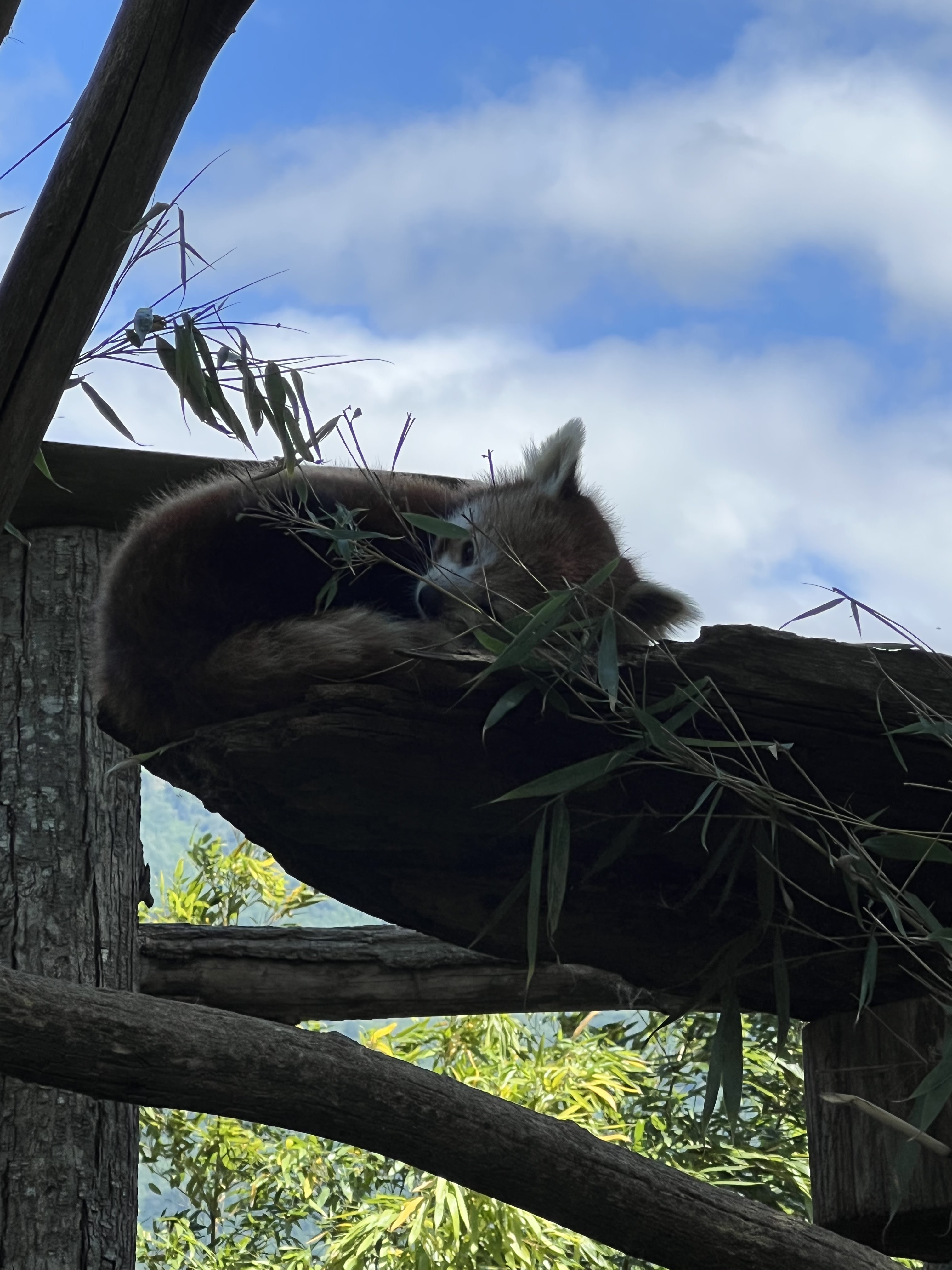 Photo n° 7 de l'avis de Fish.n fait le 11/09/2022 à 15:55