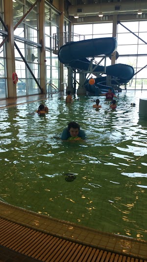 RecPlex - photo 6