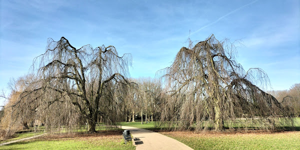 Beatrixpark