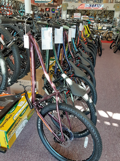 Bicycle Store «Bike Lane», reviews and photos, 17937 I-45, Shenandoah, TX 77385, USA