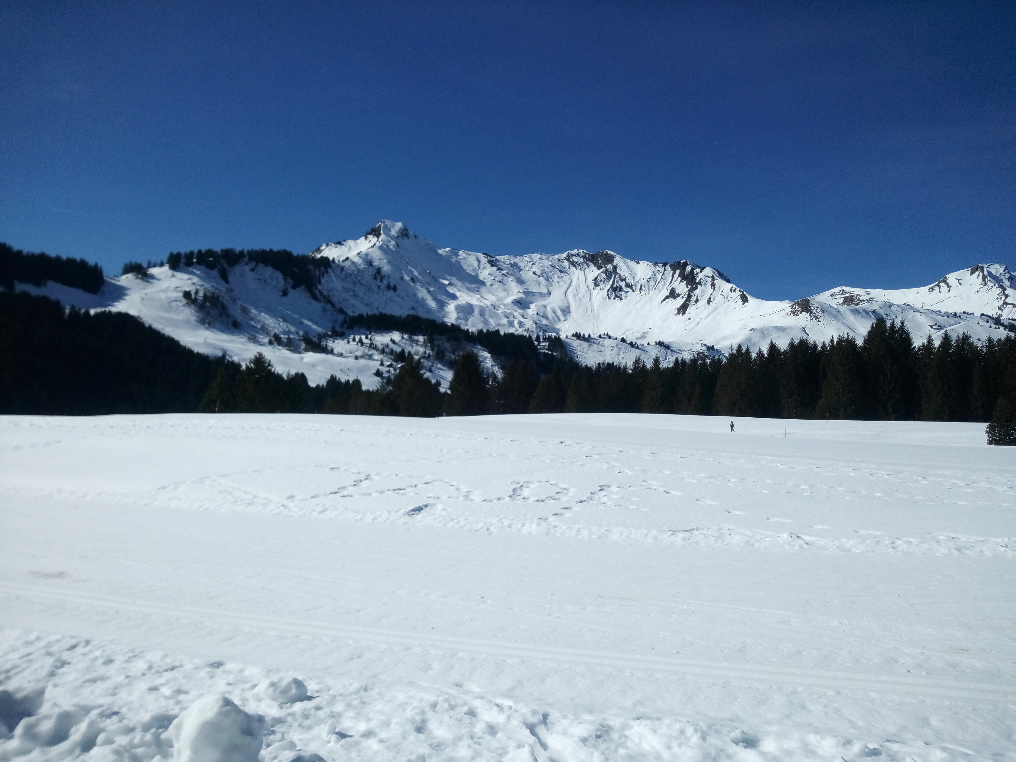 Photo n° 41 de l'avis de Lydia.o fait le 29/02/2020 à 19:49