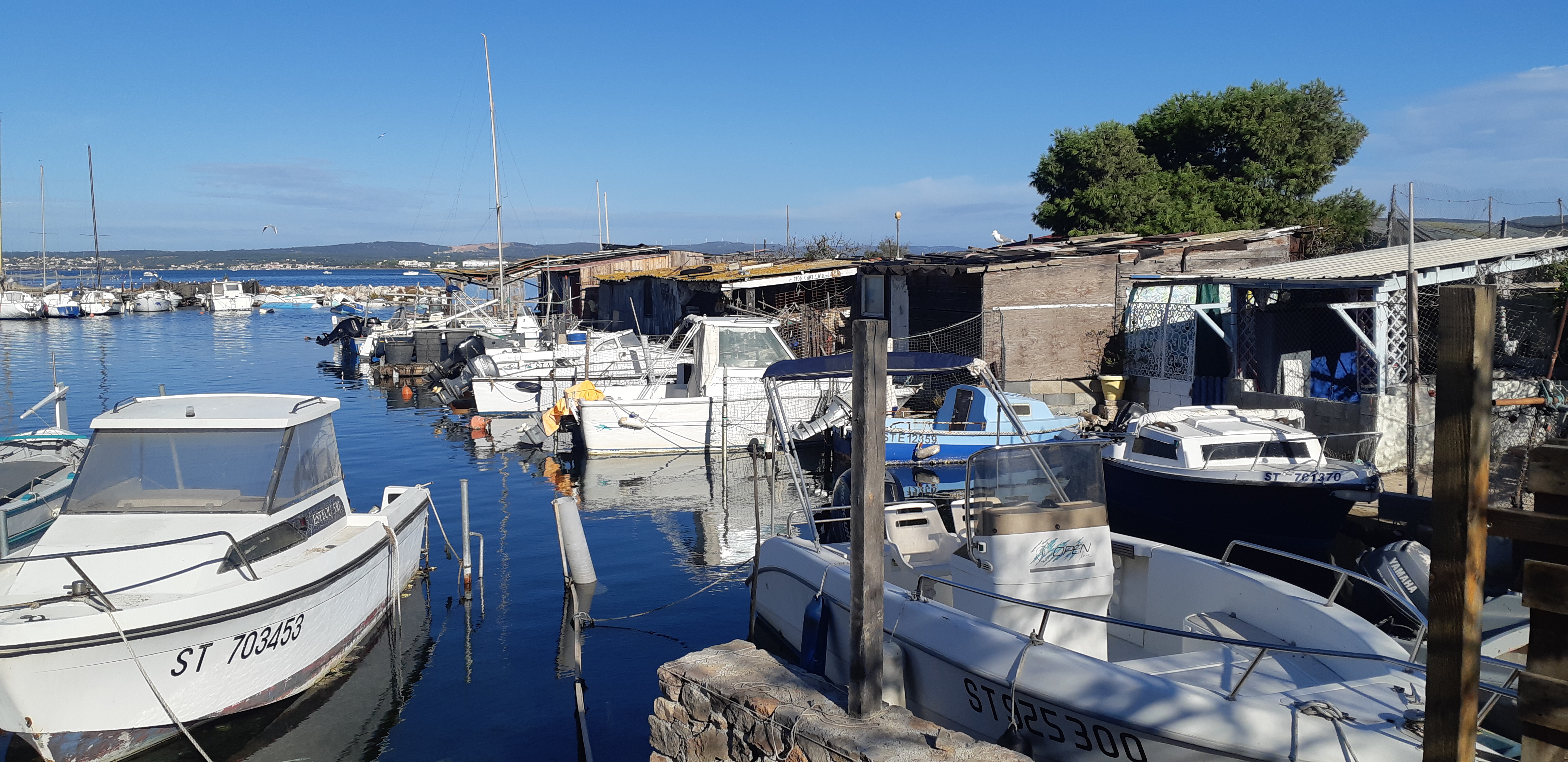 Photo n° 4 de l'avis de Cyril.e fait le 31/10/2023 à 15:17