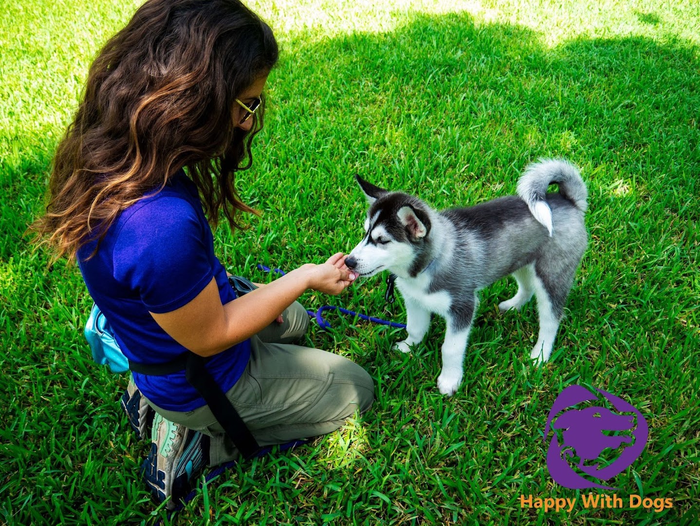 Happy With Dogs