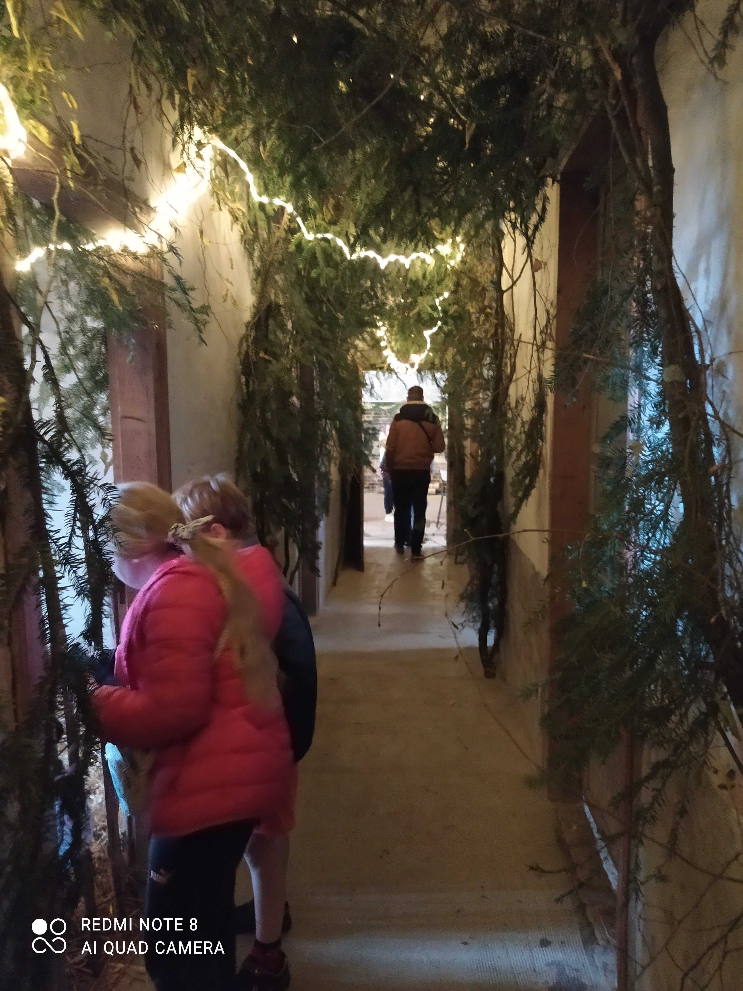 Photo n° 5 de l'avis de Sonia.R fait le 18/02/2024 à 08:37