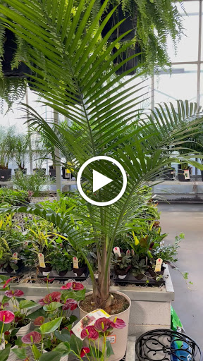 Home Improvement Store «The Home Depot», reviews and photos, 3051 W Radio Dr, Florence, SC 29501, USA