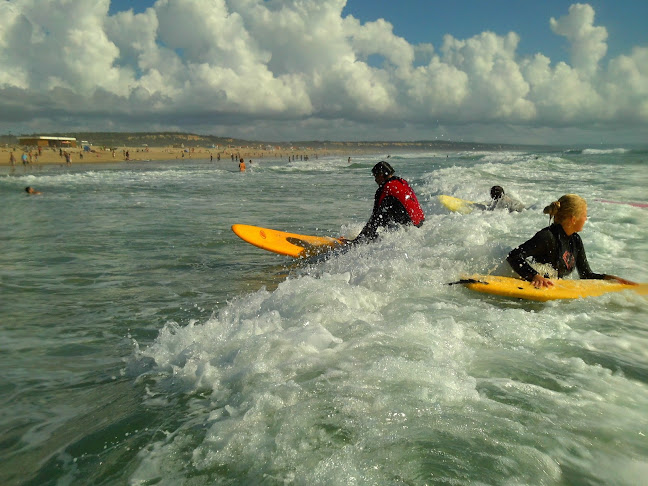 SurfLab Surf School - Escola