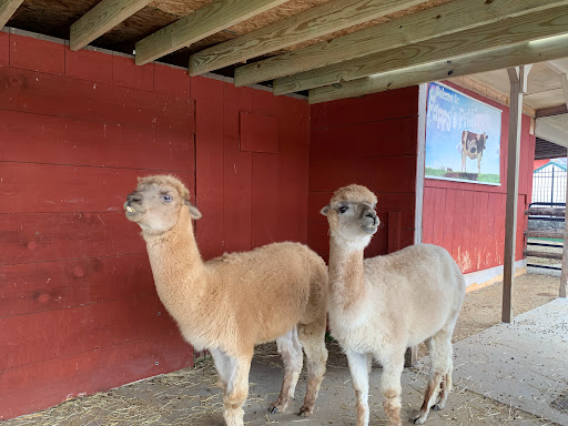 General Store «Country Junction», reviews and photos, 6565 Interchange Rd, Lehighton, PA 18235, USA