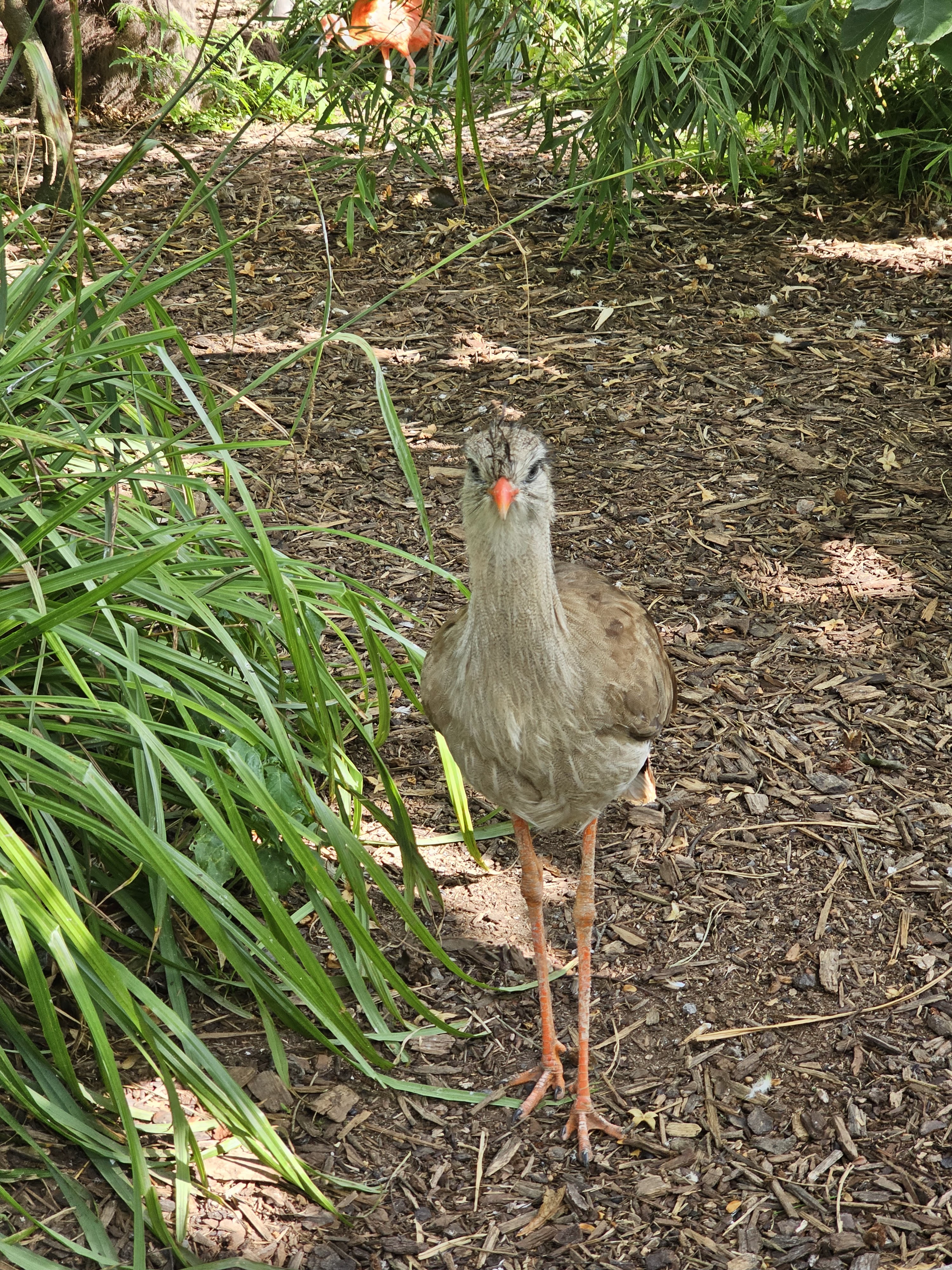 Photo n° 3 de l'avis de Marlene.U fait le 15/08/2023 à 20:08