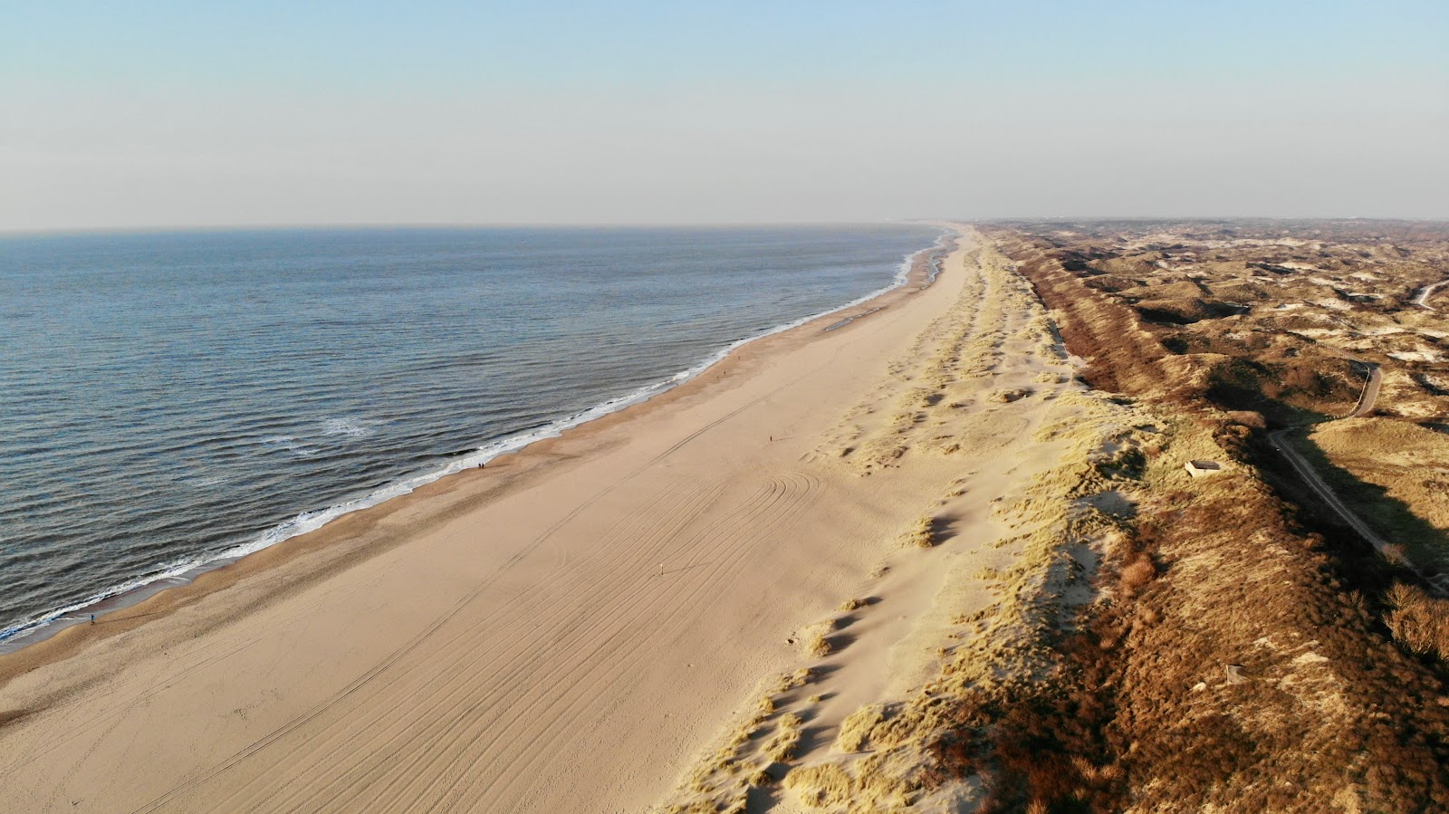 Het strand photo #8