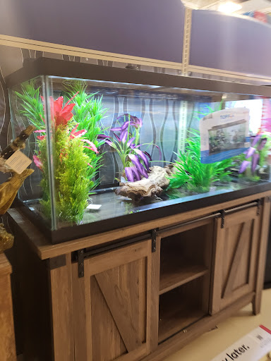 Pet Supply Store «PetSmart», reviews and photos, 1160 Stafford Market Pl, Stafford, VA 22556, USA