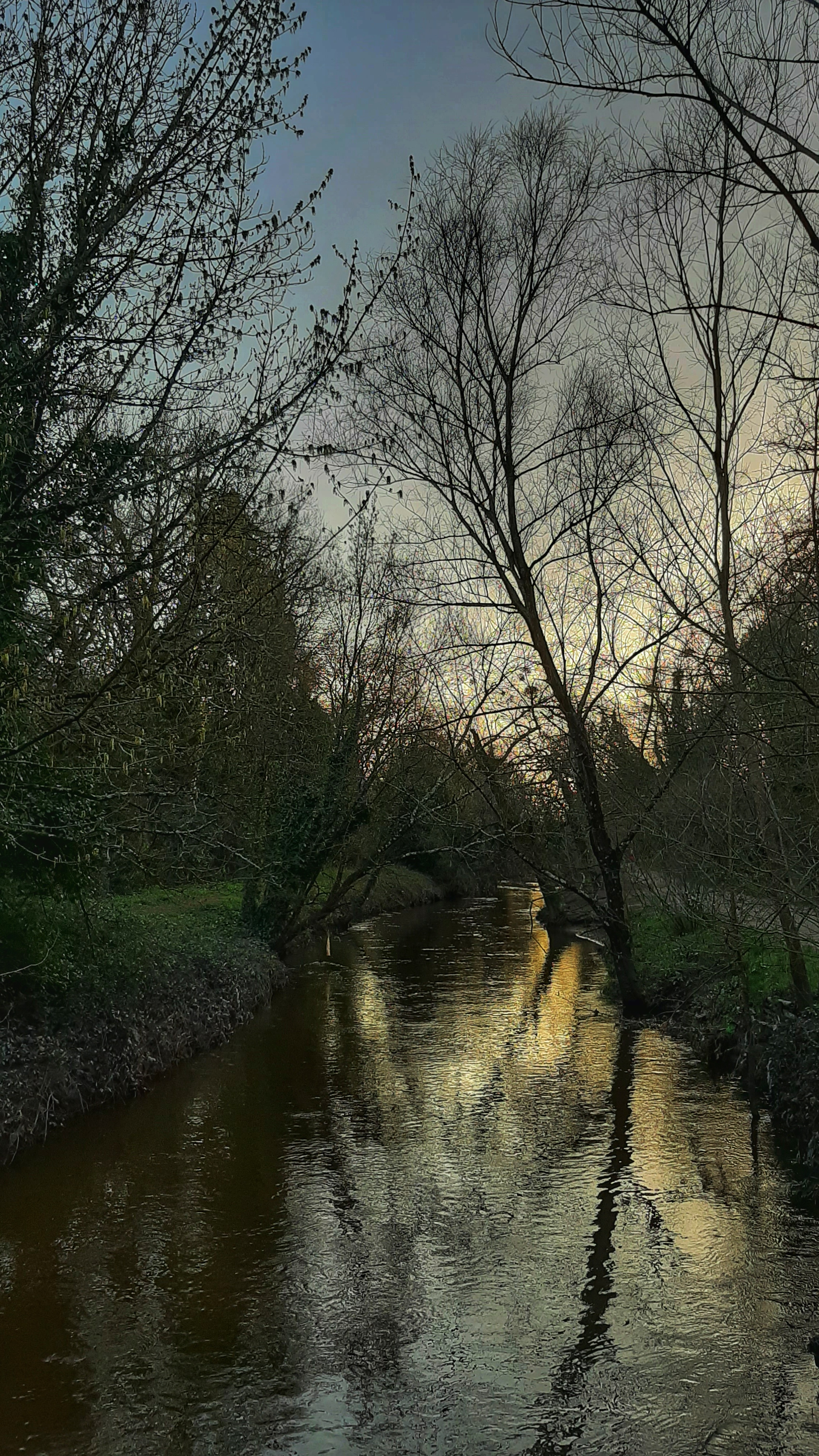 Photo n° 3 de l'avis de Nour.r fait le 25/02/2021 à 00:56